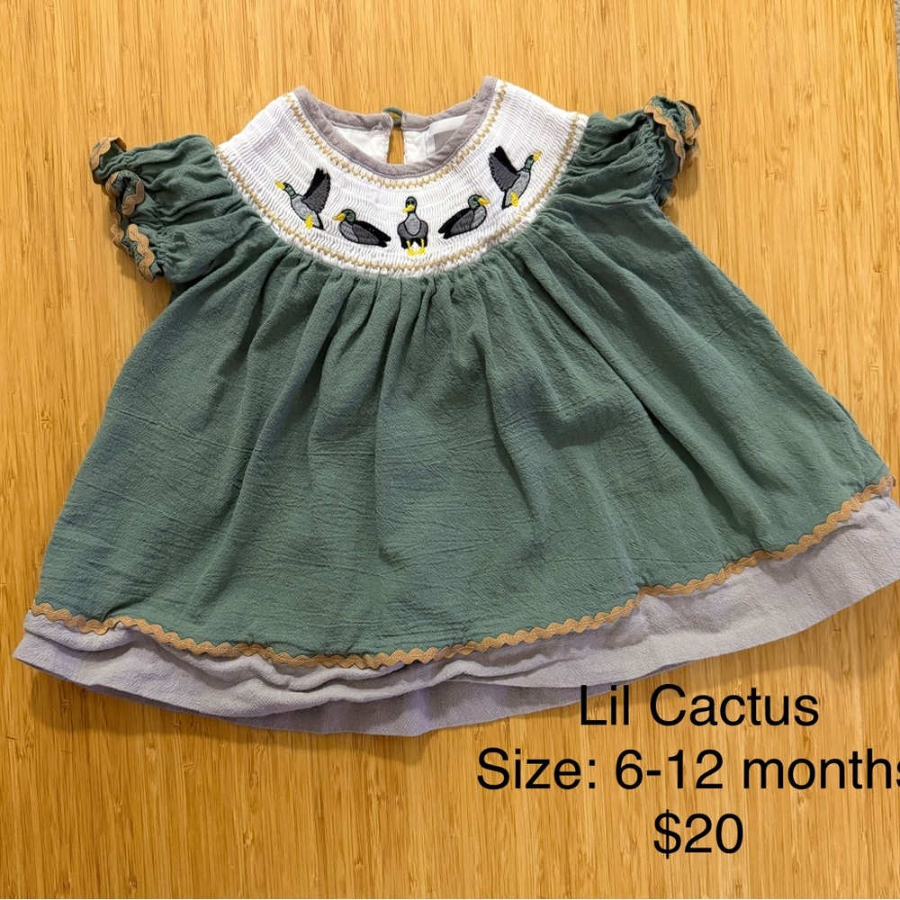 Lil’ Cactus Baby Dress in Green and Gray with Mallards on the Collar